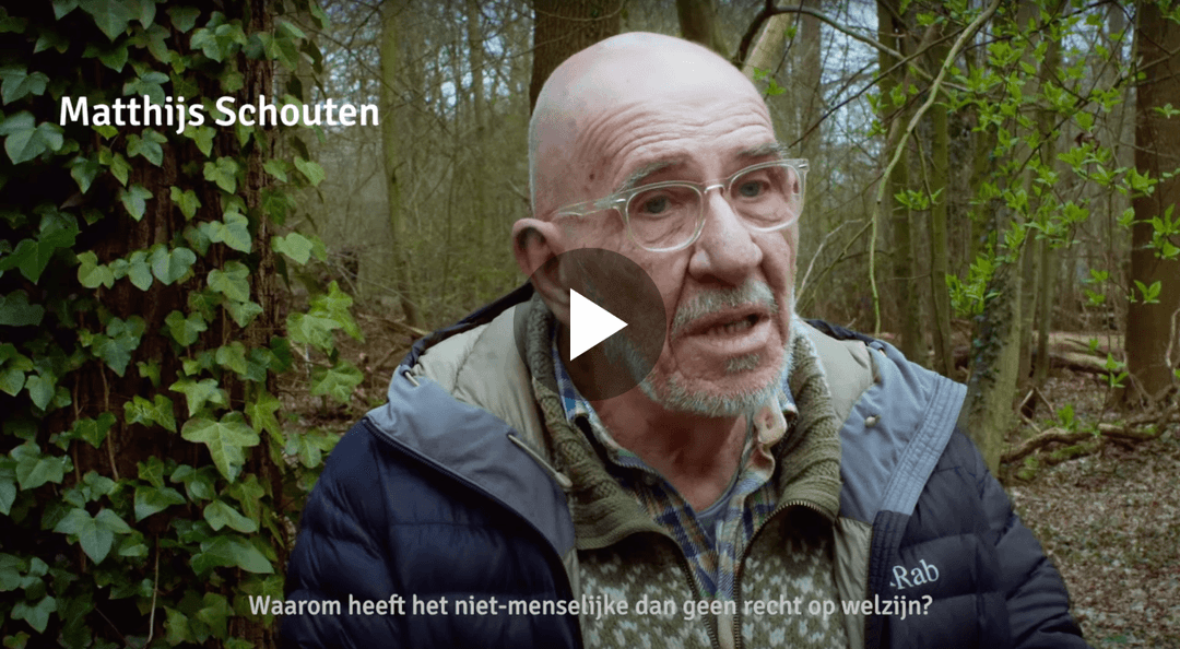 Rechten van de Natuur